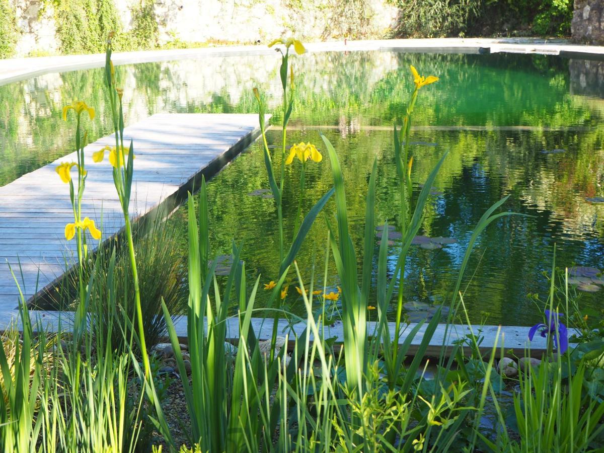 Maison Terre Les Cabanes De Fallot - Sauna Bain-Froid Piscine Naturelle L'isle-Bouzon Exteriör bild