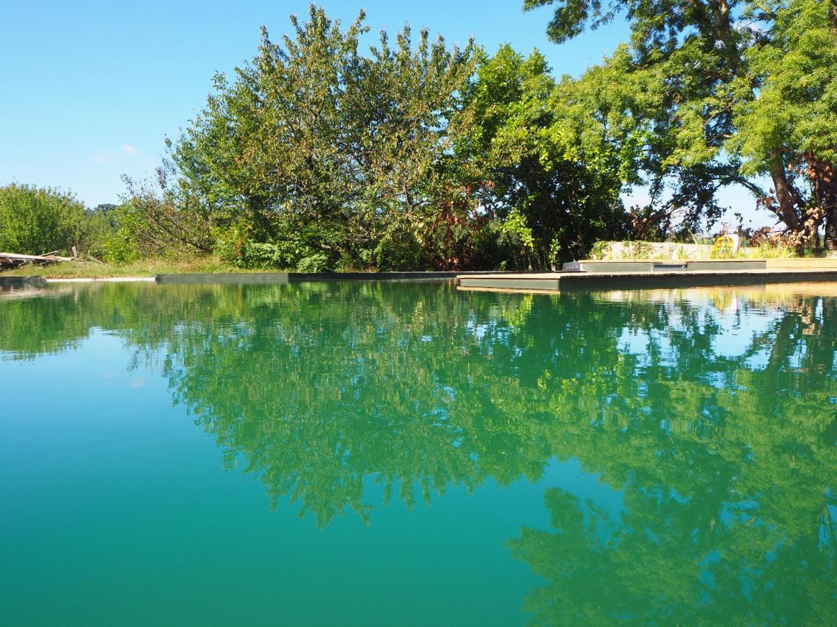 Maison Terre Les Cabanes De Fallot - Sauna Bain-Froid Piscine Naturelle L'isle-Bouzon Exteriör bild